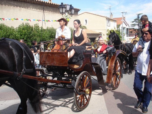 http://www.forumpassat.fr/uploads/1399_transhumance_2009_039.jpg