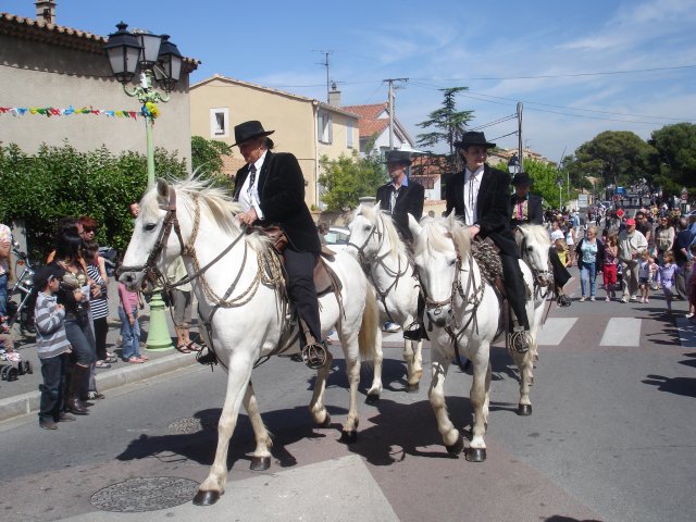 http://www.forumpassat.fr/uploads/1399_transhumance_2009_048.jpg